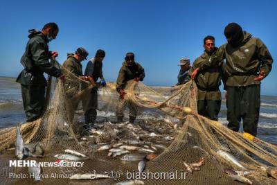 تمدید 5 روزه فصل صید ماهیان استخوانی در مازندران