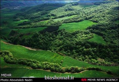 6 لكه از جنگل های هیركانی مربوط به استان مازندران است