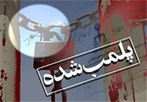 ۳۰ واحد صنفی در نكا پلمب شد