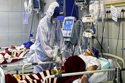 کرونا شبانه روز گذشته ۲۴ قربانی گرفت