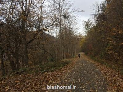 راه اندازی سامانه برخط رصد و پایش هوایی جنگل های هیركانی