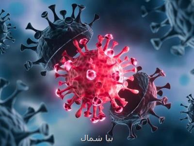 ۳۸ بیمار کرونائی در مازندران فوت کردند