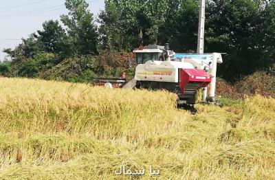 اولین برداشت مکانیزه محصول برنج در شهرستان رودبار
