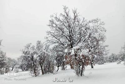 نخستین برف پاییزی ارتفاعات مازندران را سفیدپوش کرد
