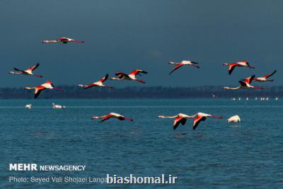 وضعیت آبی ذخیرگاه زیست کره میانکاله مناسب نمی باشد