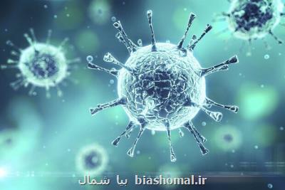 افزایش تدریجی آمارهای کرونائی در گیلان