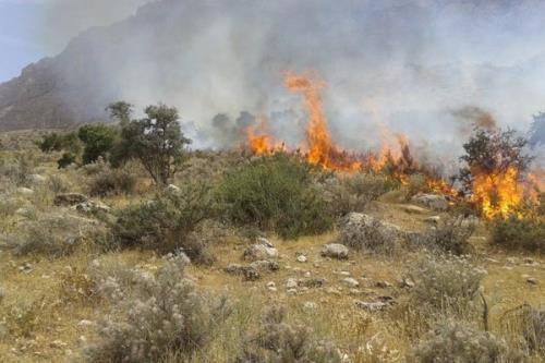 حدود ۱۰ هکتار از پناهگاه حیات وحش میانکاله سوخت