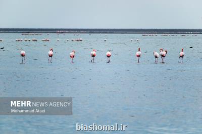 تغییر کاربری تعرض به محیط زیست است