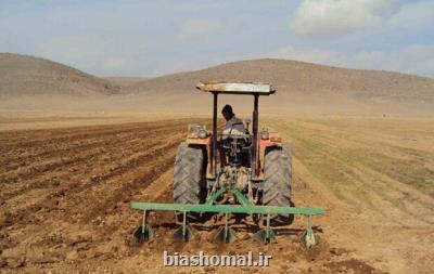 نظام الگوی کشت در مازندران به خوبی شکل نگرفته است