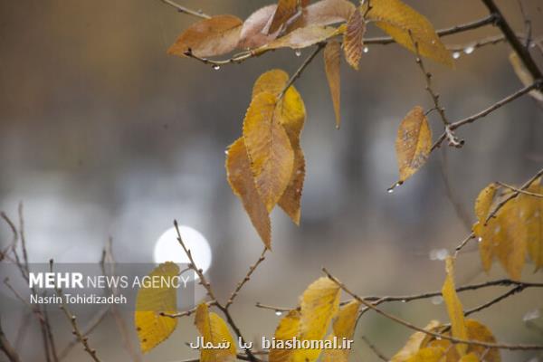 بارش شدید باران طی امشب و فردا در گیلان