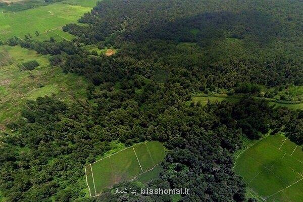 ایجاد پهنه نوآوری کشاورزی جلگه گیلان