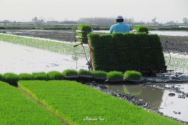 راه اندازی اتاق اصناف کشاورزی در بندرانزلی