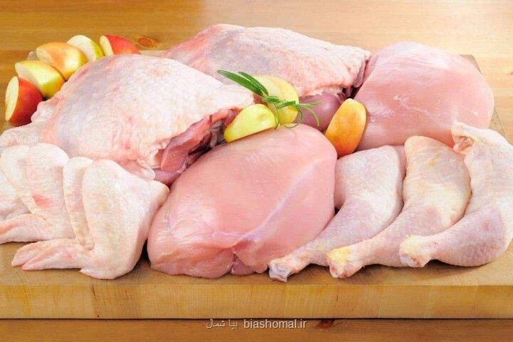 قیمت انواع گوشت بوقلمون بسته بندی