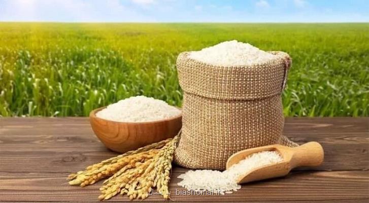 کیفیت برنج های تولیدی مازندران در فصل زراعی سال جاری مطلوب است