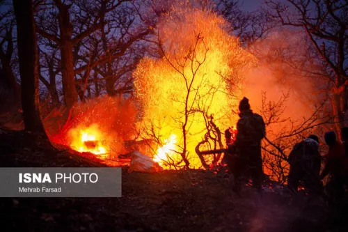 انصاری: حریق الیت ۲۰ روز مداوم نبود