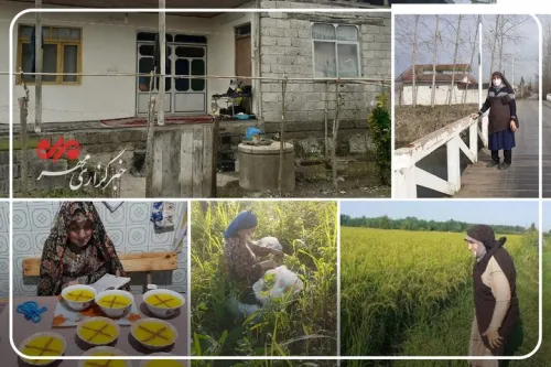 او یک مادر است حکایتی از زن گیلانی که قامتش زیر بار زندگی خم نشد