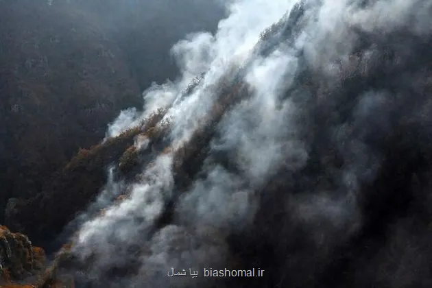 قصور مسؤلان در مهار آتش الیت پیگرد قضایی دارد