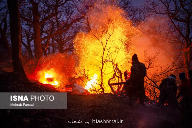 انصاری: حریق الیت ۲۰ روز مداوم نبود