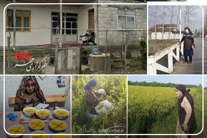 او یک مادر است حکایتی از زن گیلانی که قامتش زیر بار زندگی خم نشد