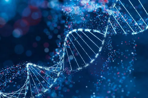 مصرف ۳۰ درصد کالری کمتر، جهش های DNA را در موش ها کم کرد
