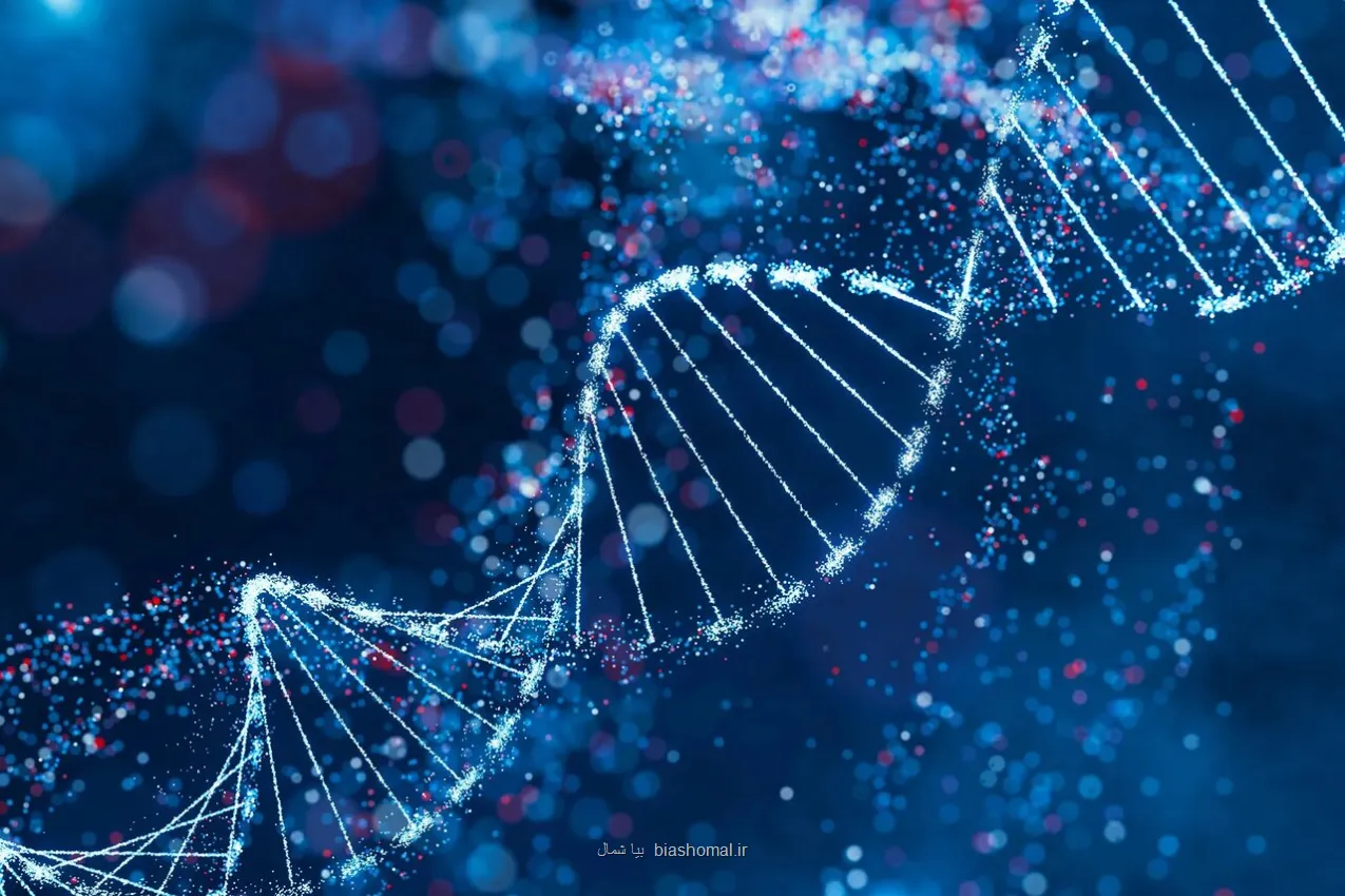 مصرف ۳۰ درصد کالری کمتر، جهش های DNA را در موش ها کم کرد