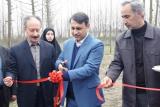 افتتاح یك واحد پرورش اردك بومی در شهرستان صومعه سرا