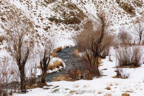 بارش برف در روستاهای لاریجان