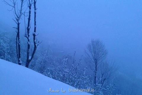 بارش برف در ۱۰۰ روستای اشكورات رودسر، راه ها باز است