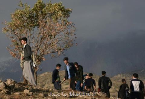 ركابزنی، كاشت درخت و آگاه سازی برای حفظ محیط زیست