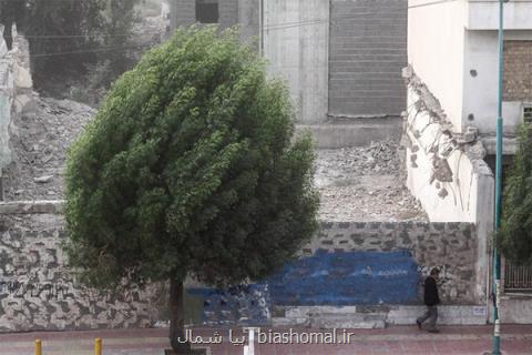 وزش باد گرم در گیلان، دمای هوا ۵ تا ۱۰ افزایش می یابد
