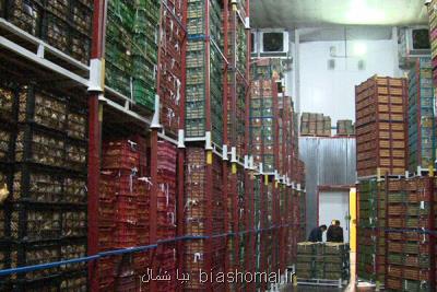 ۷۰ درصد سردخانه های گیلان مناسب نگهداری كیوی است