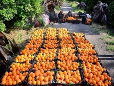 جشنواره ملی مركبات در قائم شهر