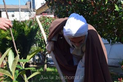 نماینده ولی فقیه در گیلان یك اصله نهال میوه غرس كرد