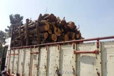 12 تن چوب جنگلی قاچاق در رودسر كشف شد