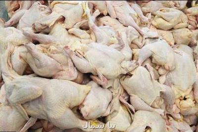 محدودیتی برای تامین مرغ در مازندران نداریم
