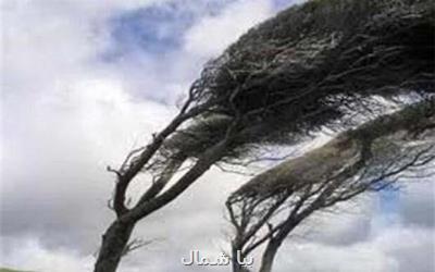 تندباد به بخش مسكن و برق در آمل خسارت زد