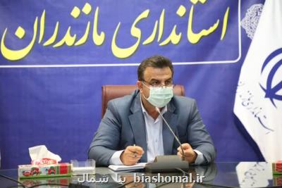 تعاونی ها برای صادرات محصولات برنامه ریزی كنند