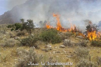 آتش سوزی پناهگاه میانكاله مهار گشت