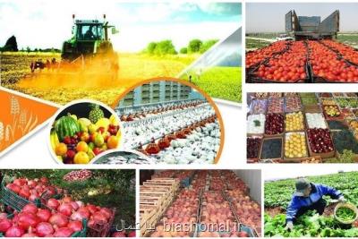 اجرای طرح تولید ۱۰ محصول كشاورزی گواهی شده و استاندارد در گیلان