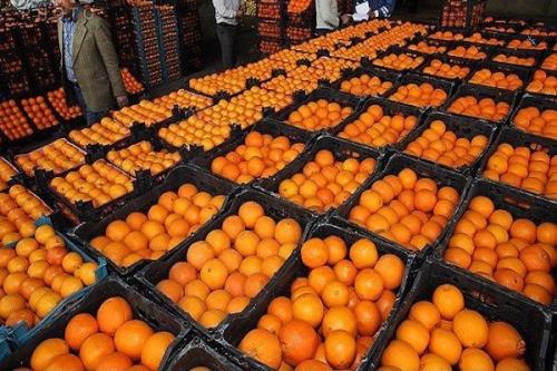 بزرگترین پایانه صادرات محصولات كشاورزی كشور در جویبار